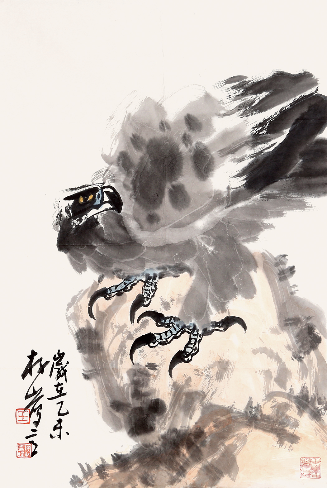 鹰