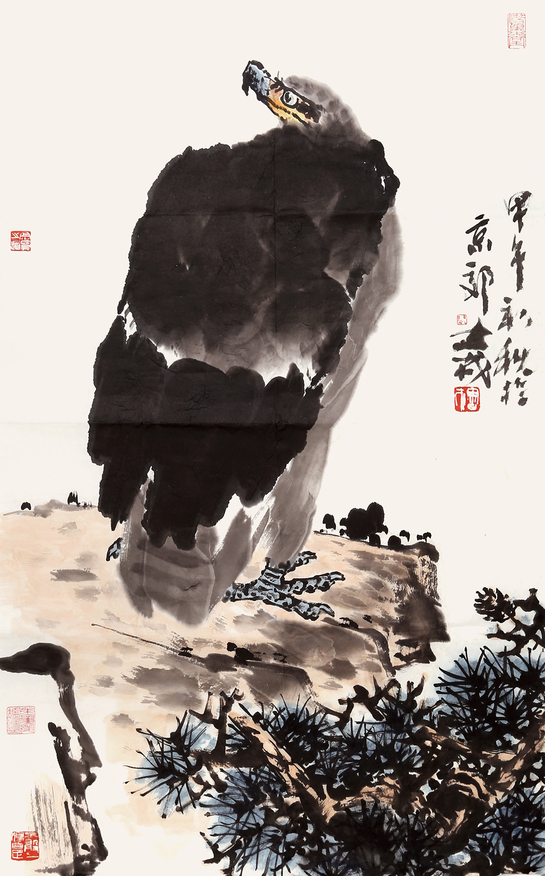 鹰