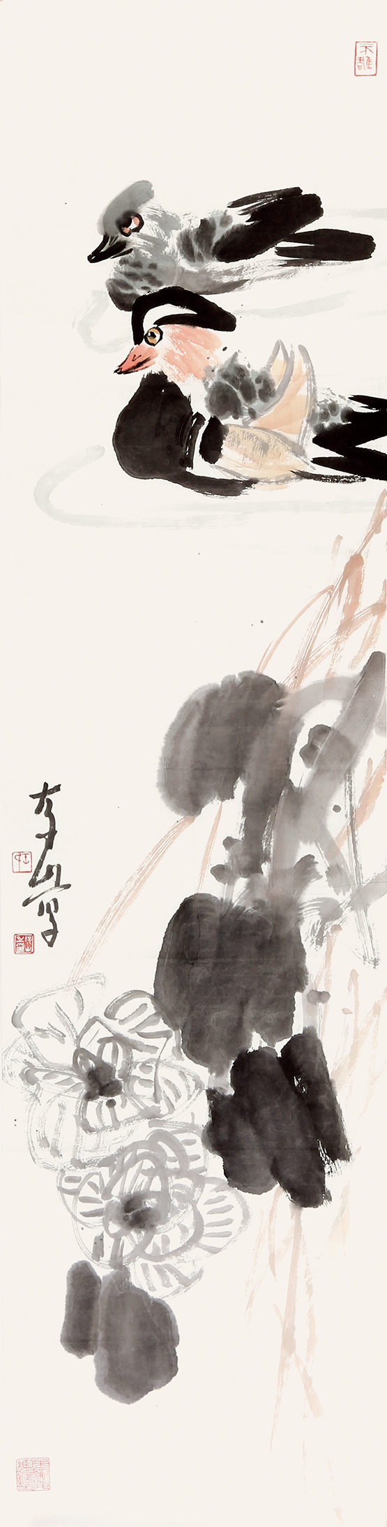 芙蓉鸳鸯